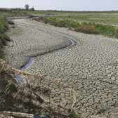 droogte-noorderleech.jpg